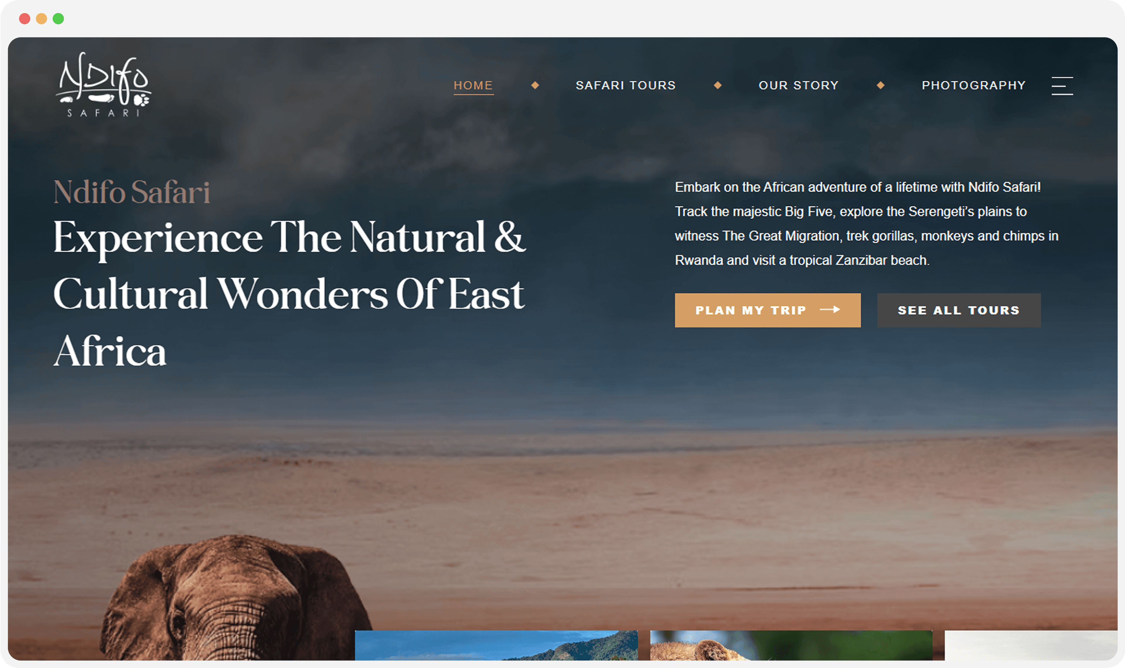 Case Study Image
